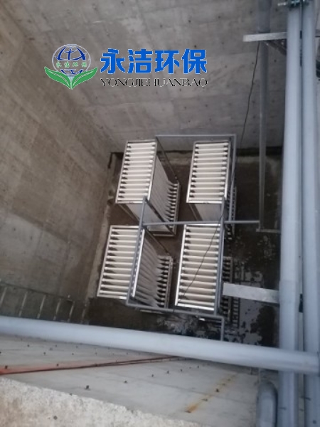 &#70;&#71;&#30005;&#23376;&#40;&#20013;&#22269;&#28216;&#41;&#23448;&#26041;&#32593;&#31449;